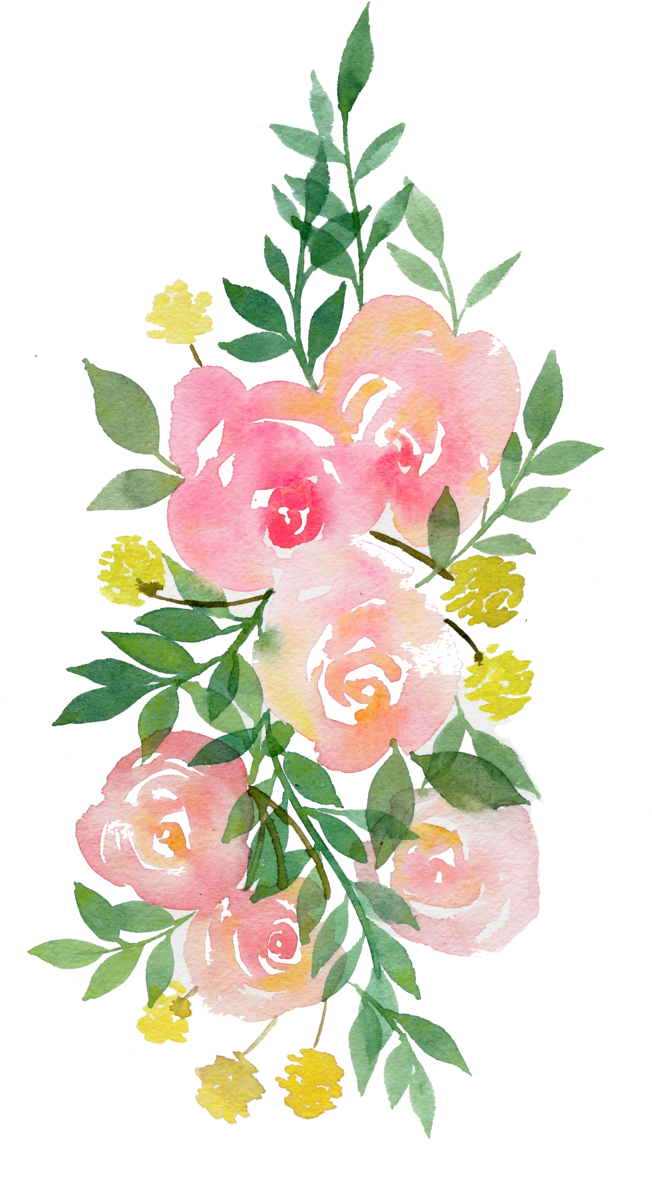 Peonies, Drawing, - Transparent Watercolor Flowers (1000x1376)