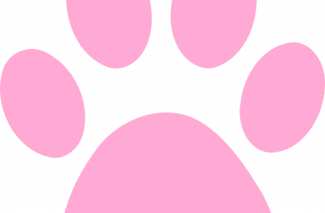Free Pink Paw Print Clip Art - Estetica Canina (640x420)