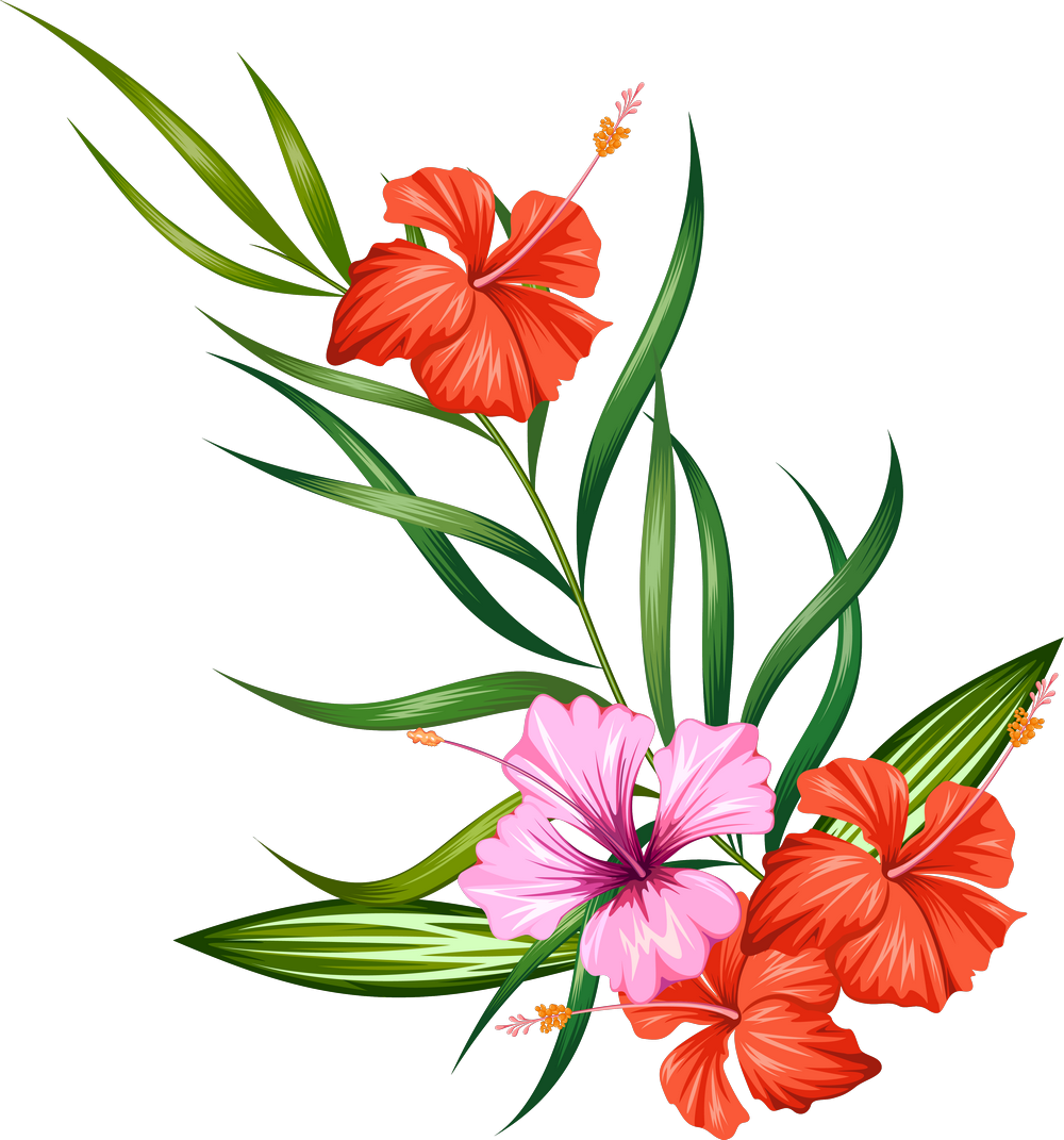 Flower Clip Art - Flower Clip Art (1000x1071)
