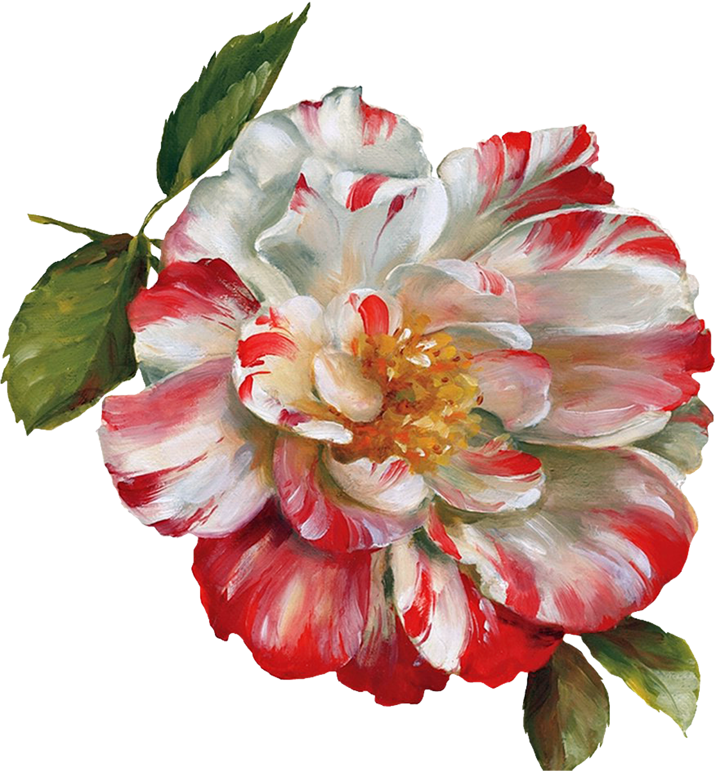 Цветы Png Clipart Lis В Audit - Цветы Png Clipart Lis В Audit (1600x1600)