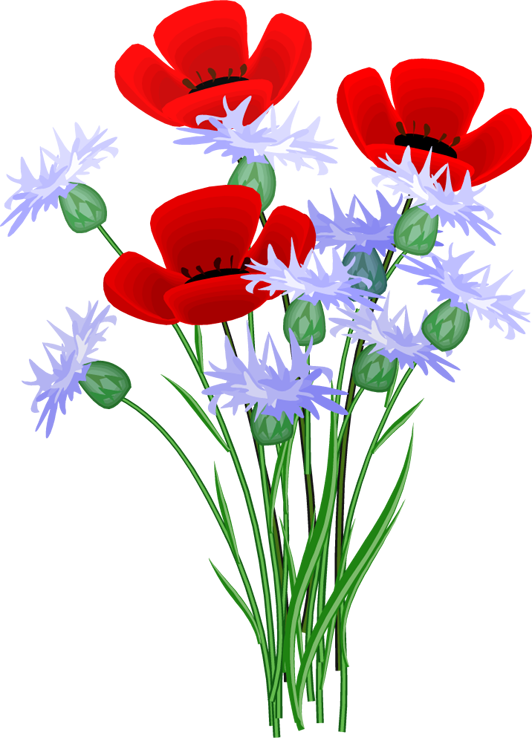 Maky - Red And Blue Flowers Clipart (532x738)