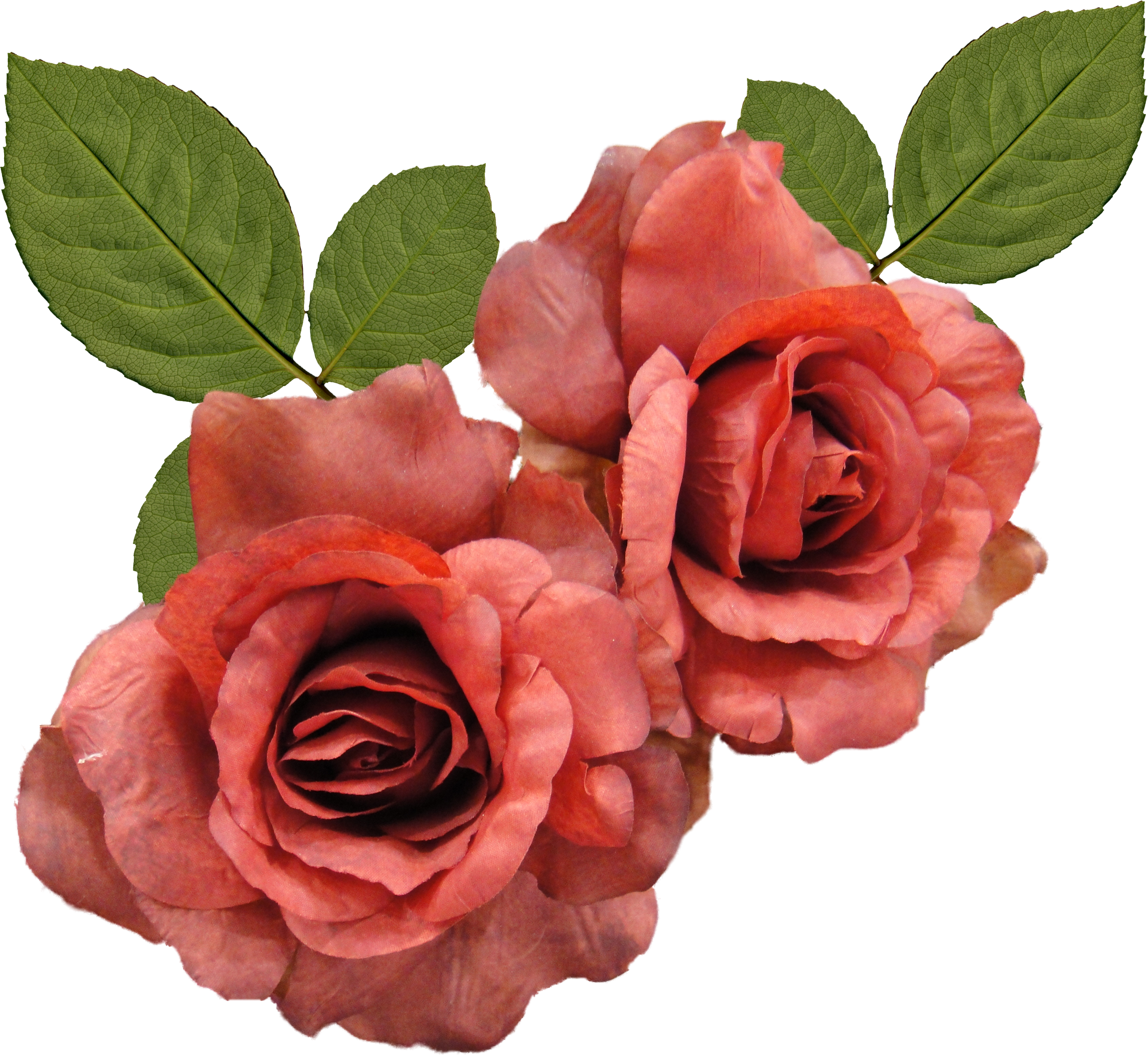 White Camellia Flower Ebay - Amusemints Destination Mint Candy (2522x2322)