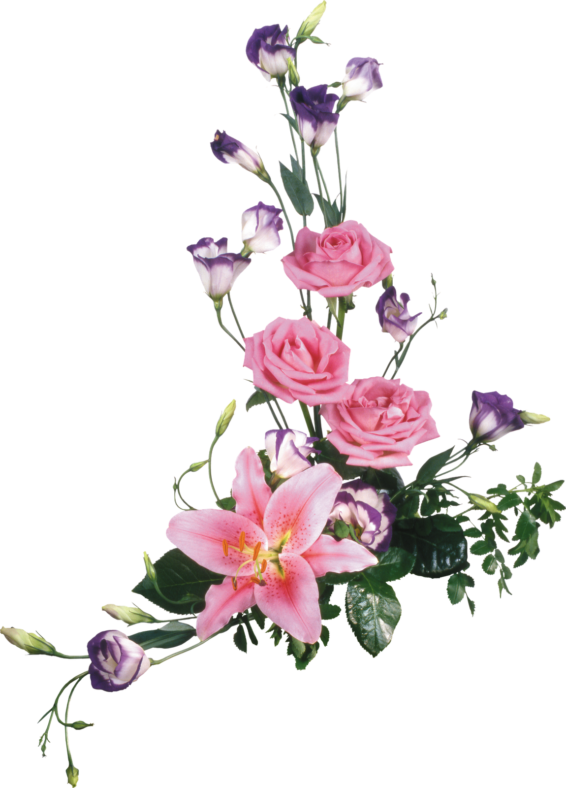 Flores Png (1150x1600)