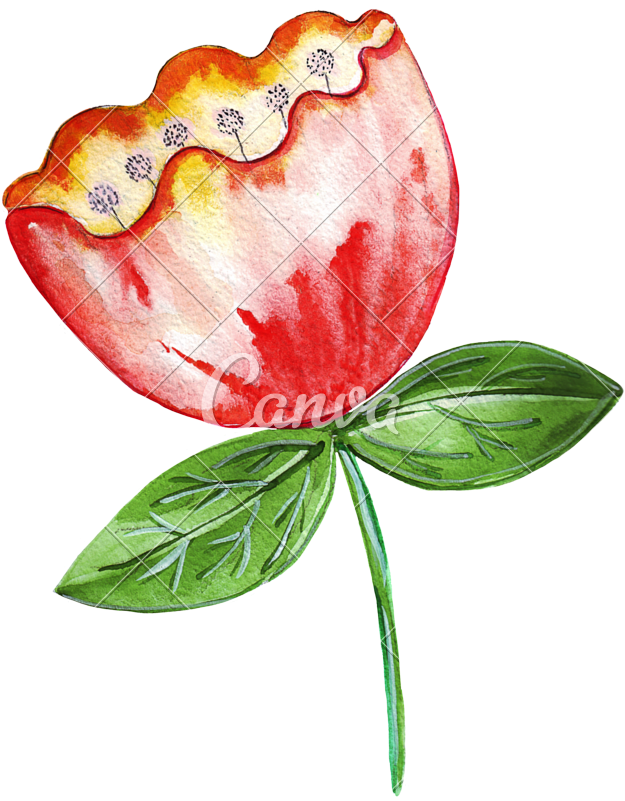 Illustration Of A Bright Flower Tulip - Tulip (656x800)