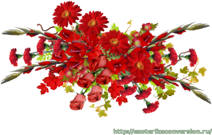 Flower Clip Art - Flower Clip Art (700x525)