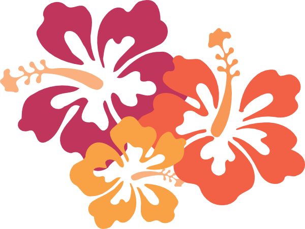 Hawaiian Flower Vector (600x451)