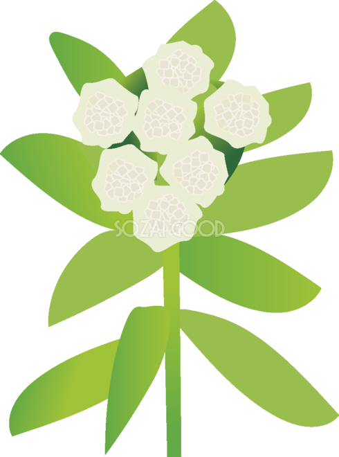 蕗 の花無料イラスト 冬~春2月~3月63713 - Illustration (490x660)