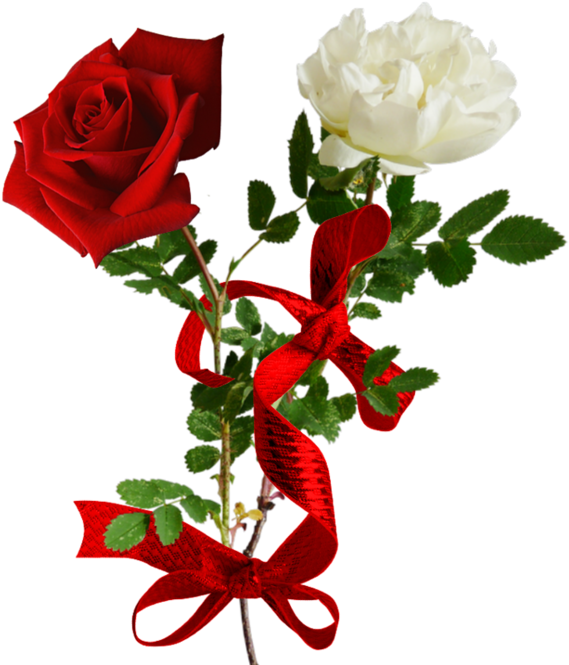 Flower Clip Art - Flower Clip Art (600x666)