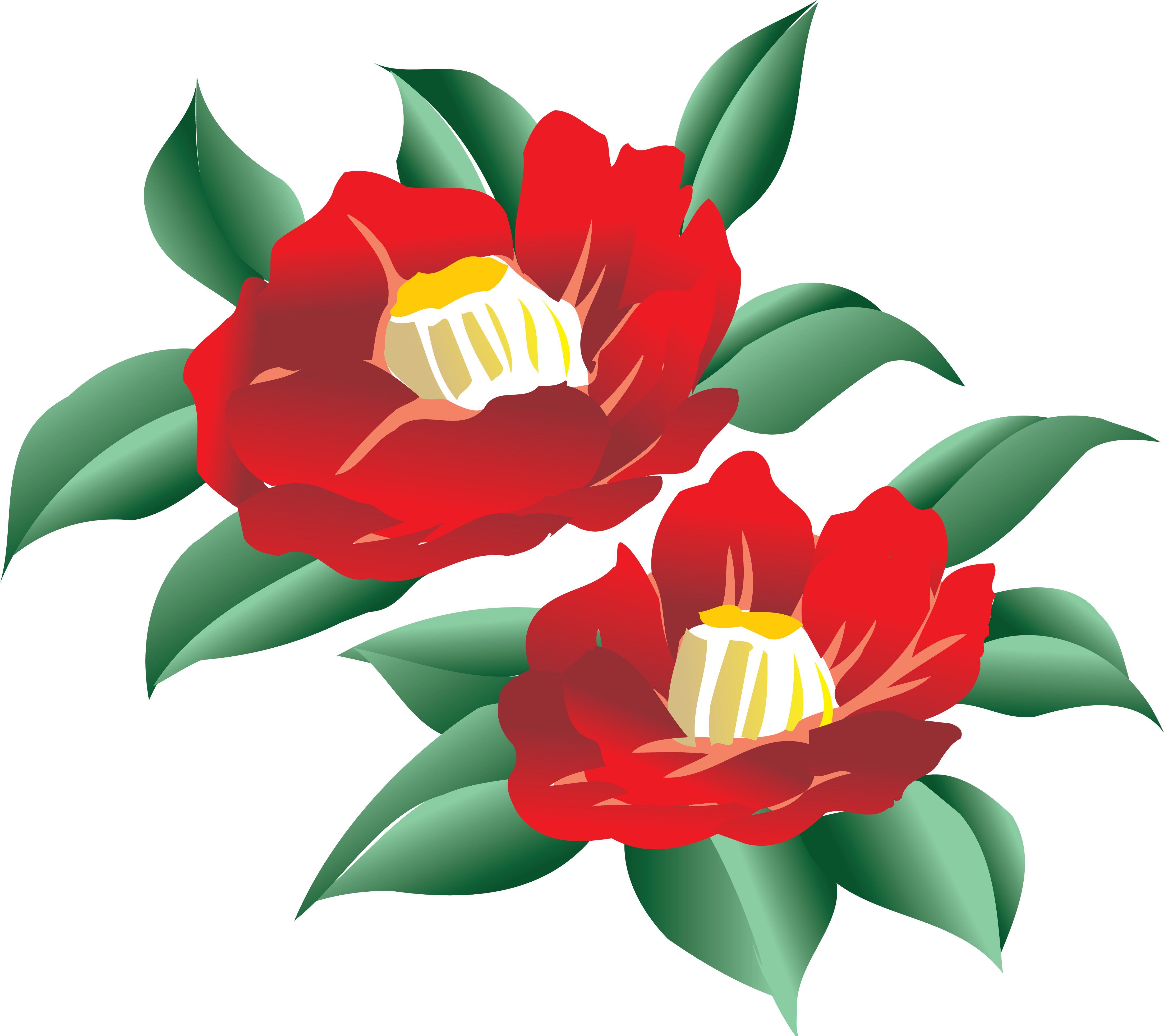 Картинка В Png - Vector Graphics (4432x3918)