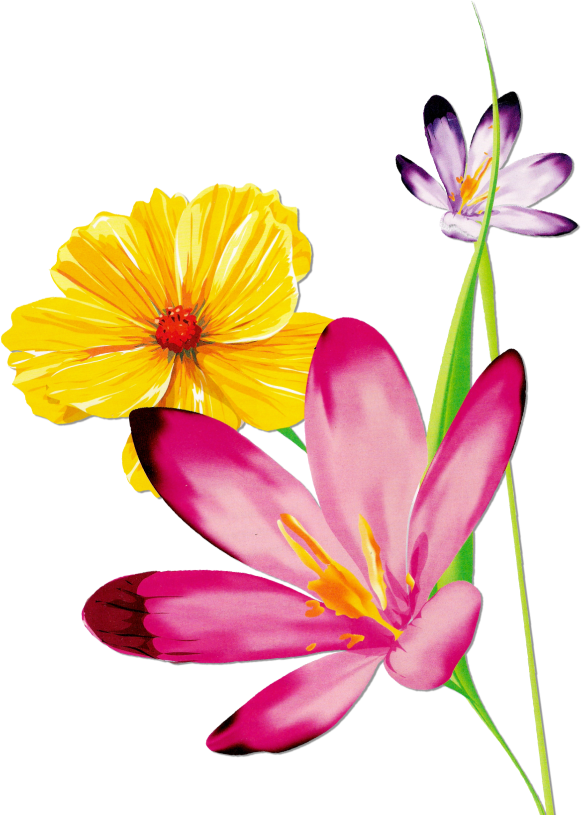 Butterfly Flower Floral Design - Butterfly Flower Floral Design (1310x1637)