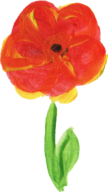 Free Download - Corn Poppy (365x647)