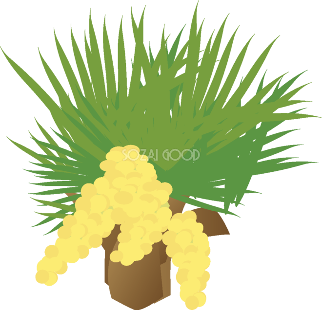 棕櫚 【花の無料イラスト】春(4月-5月)67054 - Illustration (660x637)