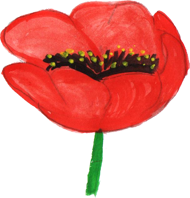 Free Download - Tulip (608x631)