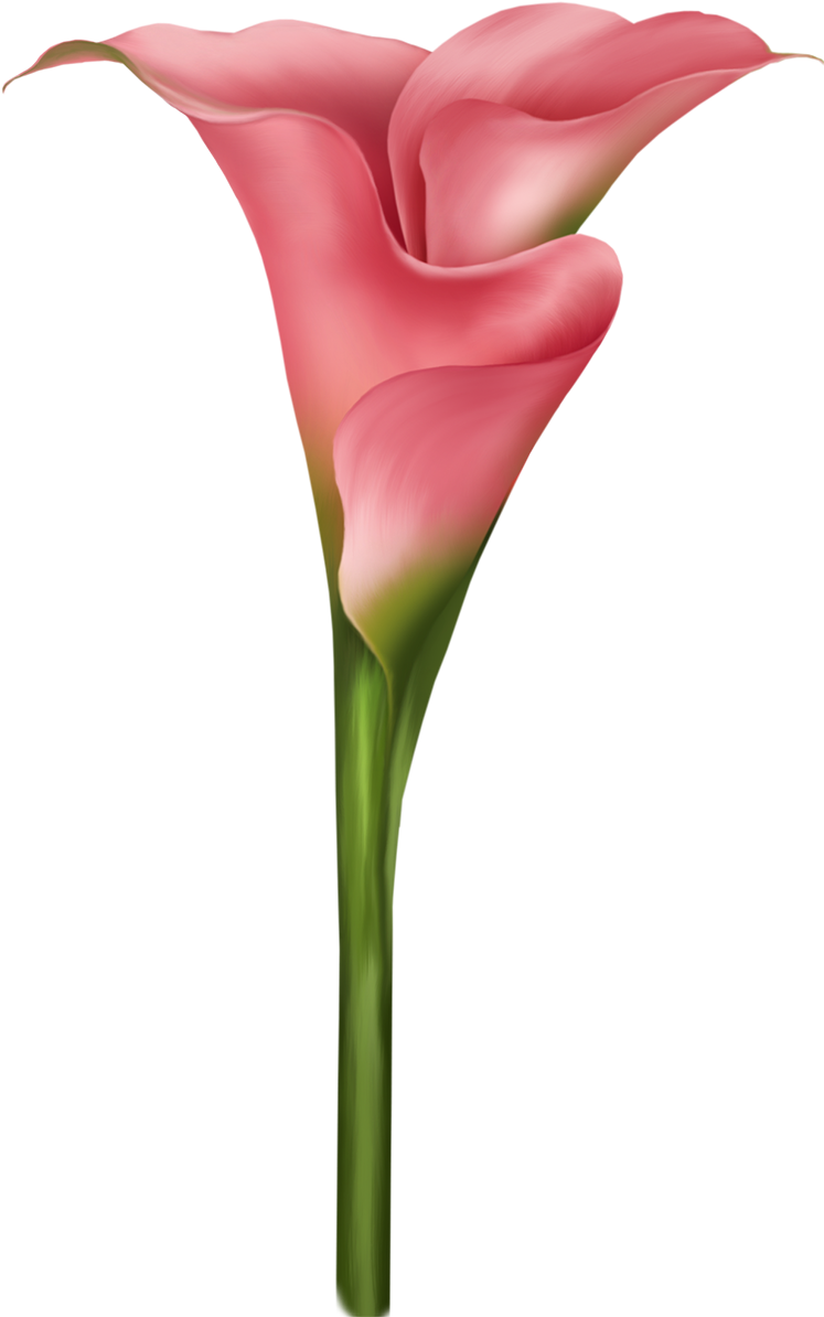 Flower Watercolor Painting Petal Clip Art - Watercolor Painting (746x1200)