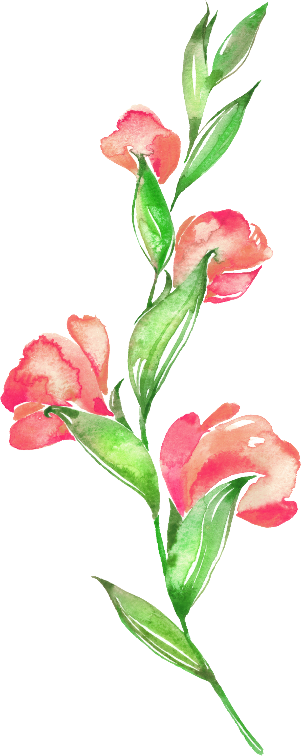 Floral Design Flower Watercolor Painting - Floral Design Flower Watercolor Painting (1190x2989)