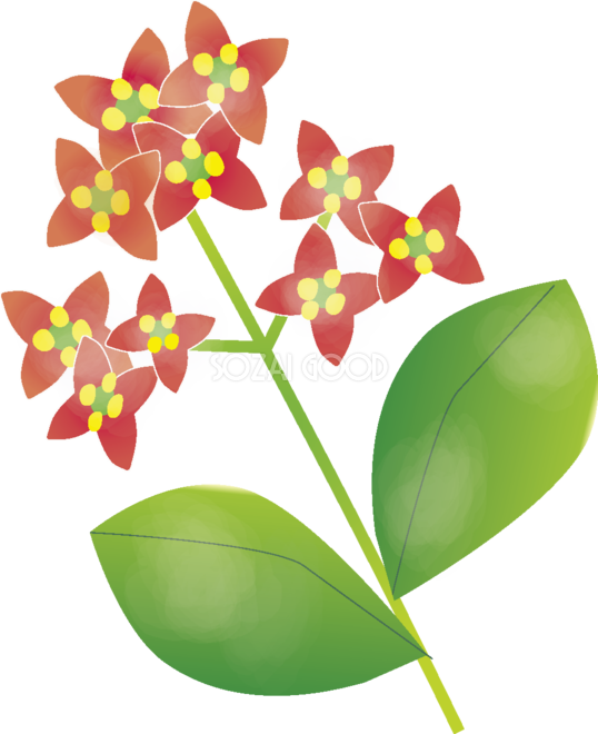 青木 の花無料イラスト 春3~4月63657 - Illustration (538x660)