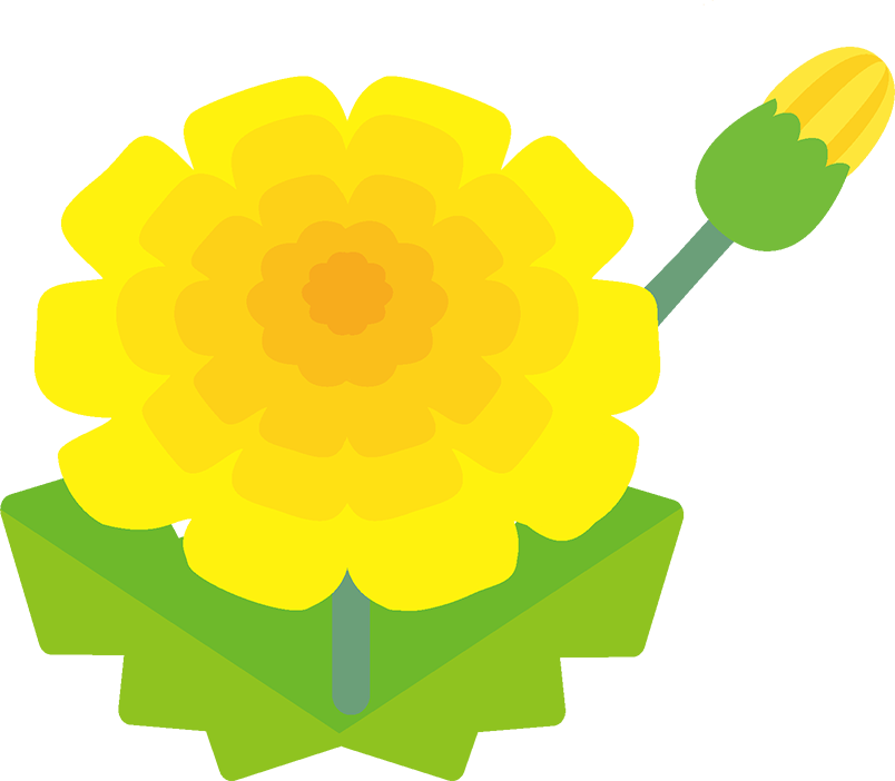 804 X - 京都 府立 舞鶴 支援 学校 行 永 分校 (804x702)