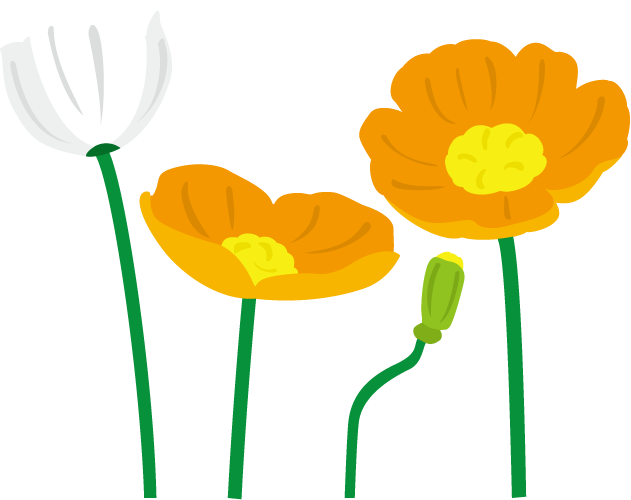 春の花1 03 ポピーイラスト - 花 ポピー イラスト (631x500)