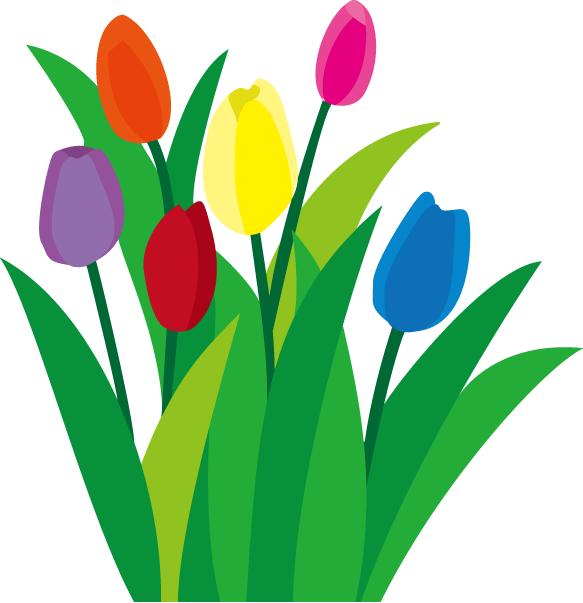定番の花1 03 チューリップイラスト - Sprenger's Tulip (583x603)