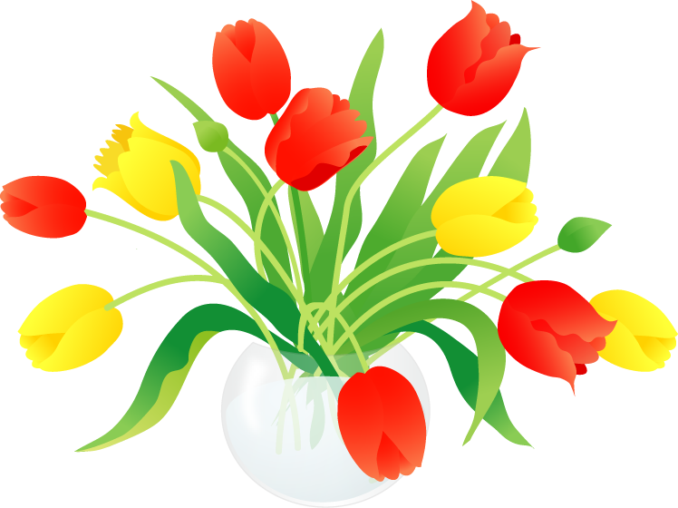 春の花 赤と Lady Tulip 748x560 Png Clipart Download