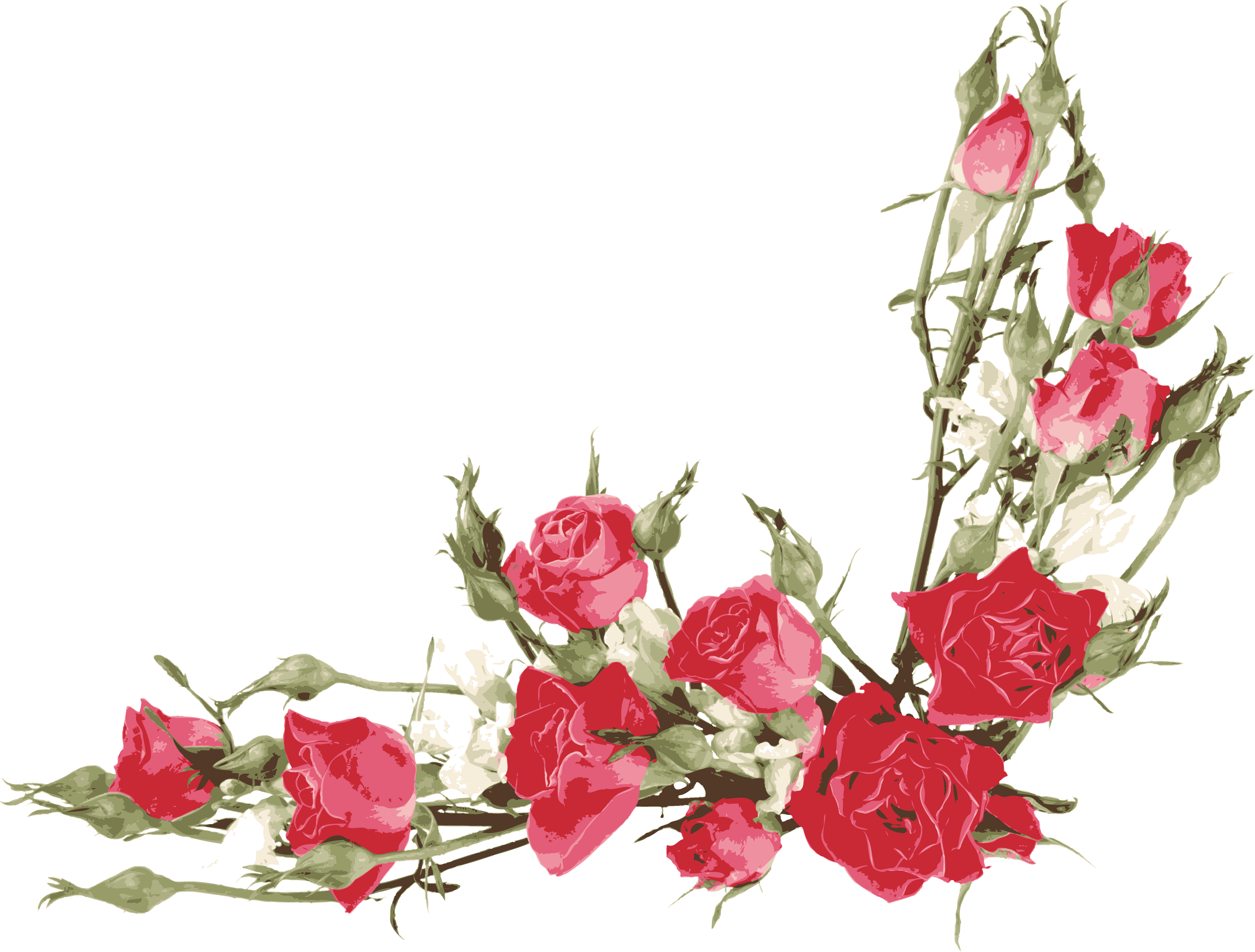 Rose Flower Petal Clip Art - Rose Flower Petal Clip Art (4941x3747)