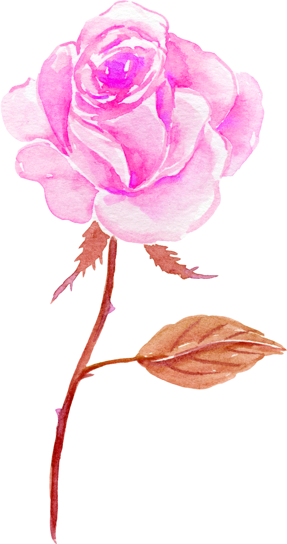 Flower Watercolor Painting - Flower Watercolor Painting (1000x1820)