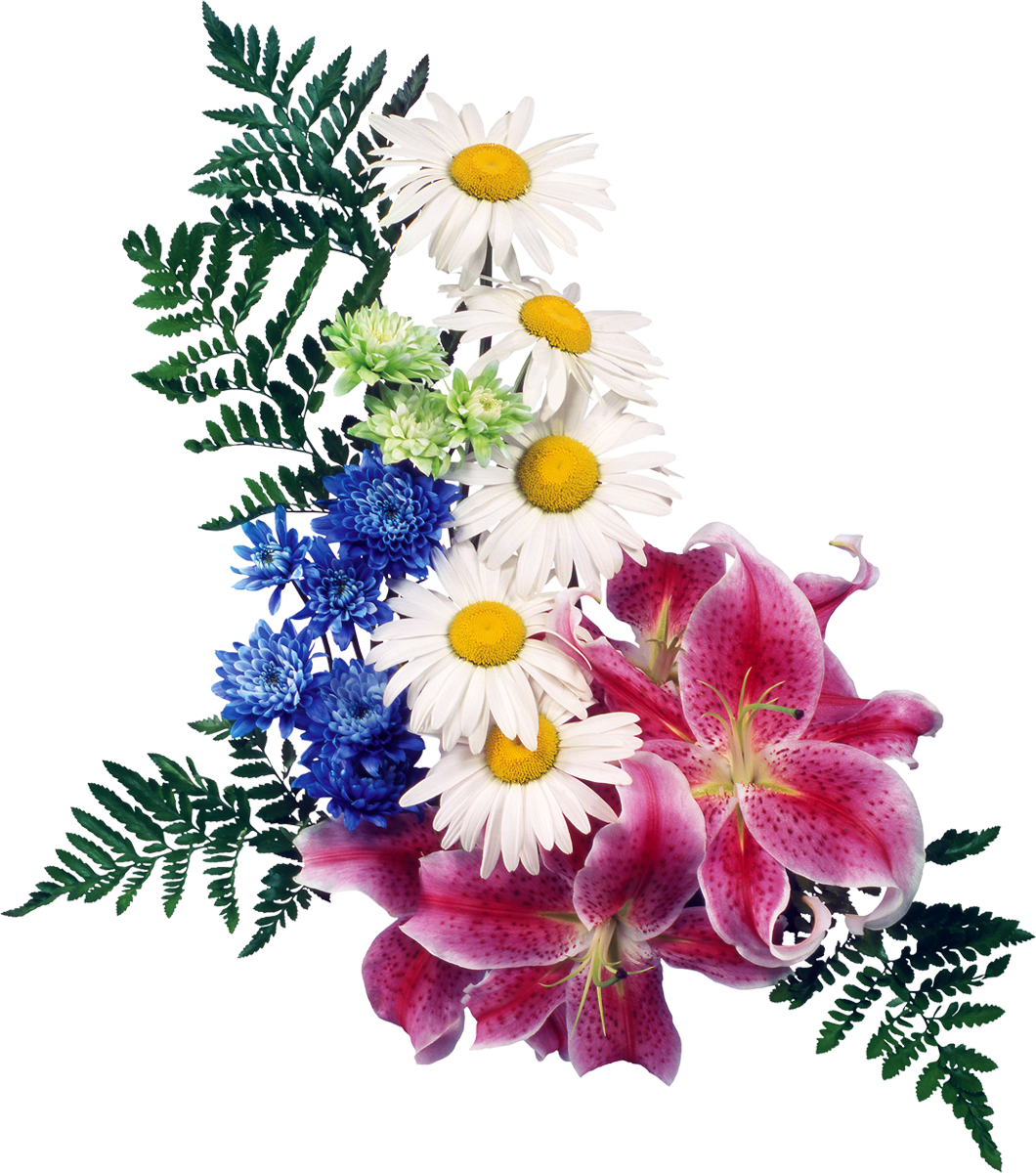 Flower Lilium Clip Art - Flower Lilium Clip Art (1060x1200)