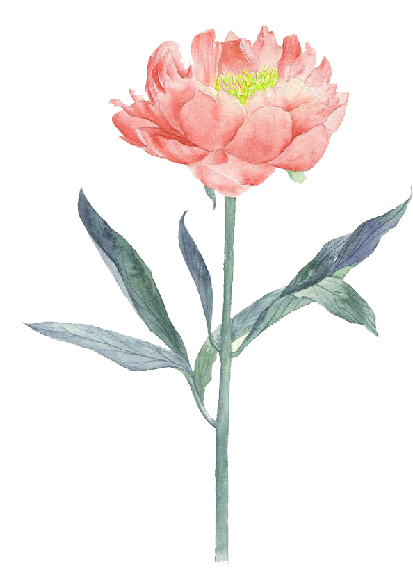 Flower Painting Illustration - Flower Painting Illustration (658x968)