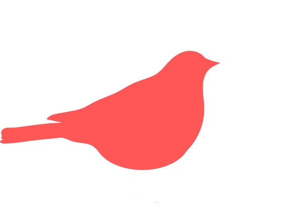 Sparrow Clip Art - Sparrow Clipart (600x433)