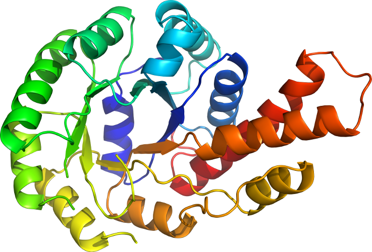 D5ud0a In Context Of Chain - Parp 1 (737x500)