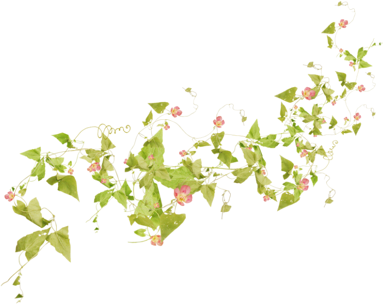 Watercolor Painting Flower Clip Art - Watercolor Painting Flower Clip Art (800x652)