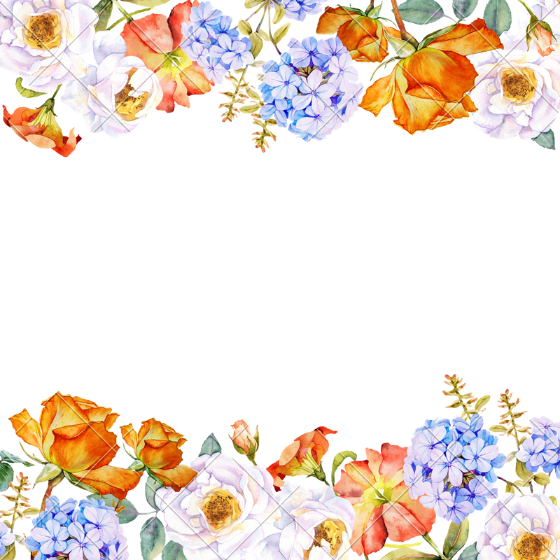 Flower Watercolor - Darcy And Elizabeth: Mischief And Misunderstanding: (800x800)