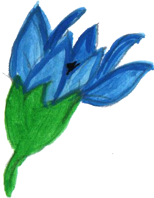 Free Download - Transparency (312x400)