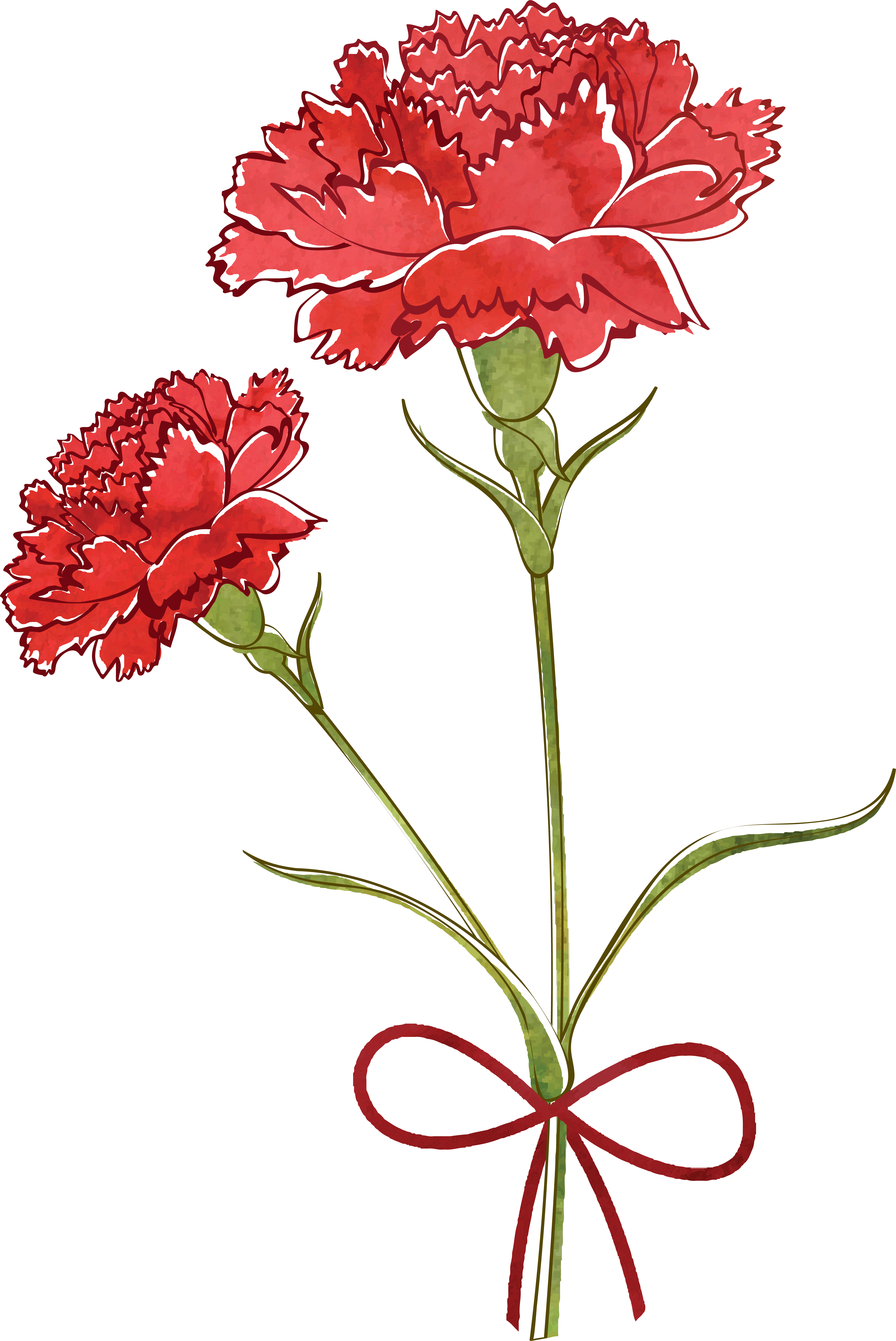 Carnation Flower Drawing Watercolor Painting - Carnation Flower Vector (4228x6324)