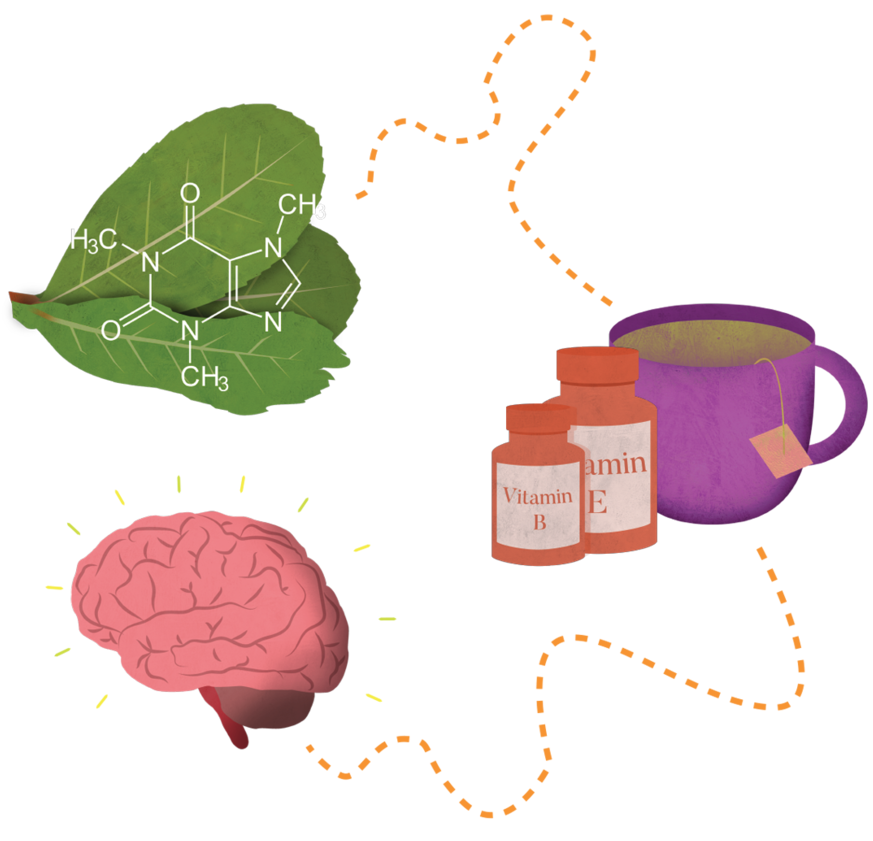 What Are The Health Benefits Of Yerba Mate - Illustration (960x960)