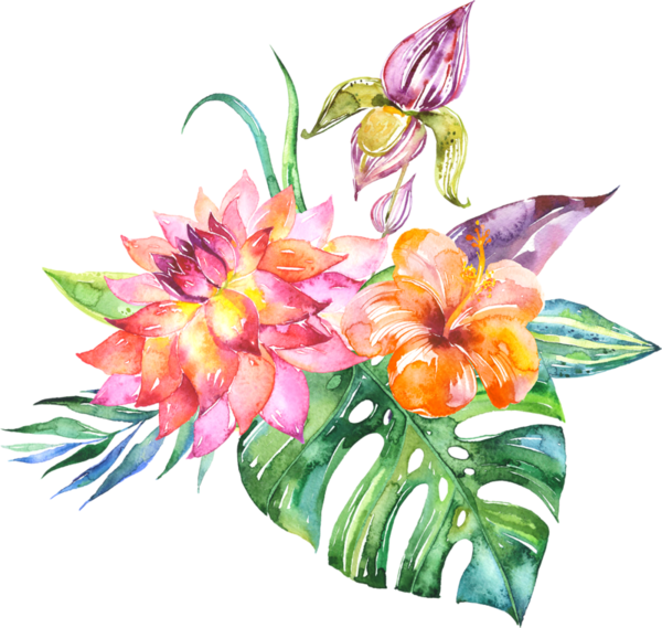 Painting Flowerswatercolor - Marmont Hill 'tropical Leaves Ii' Painting Print (600x569)