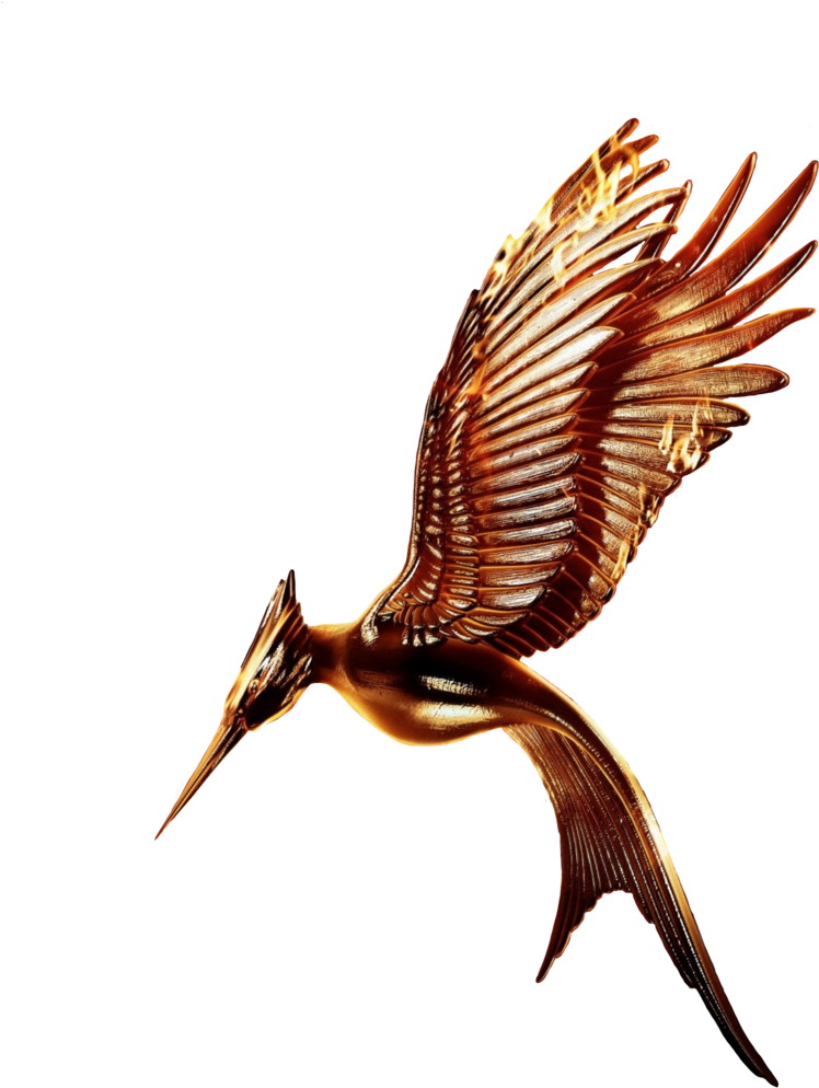 Agreeable Hunger Games Clip Art Medium Size - Hunger Games Logo (1024x1024)