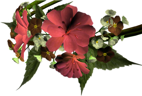 Fl-78 - Florida (500x343)