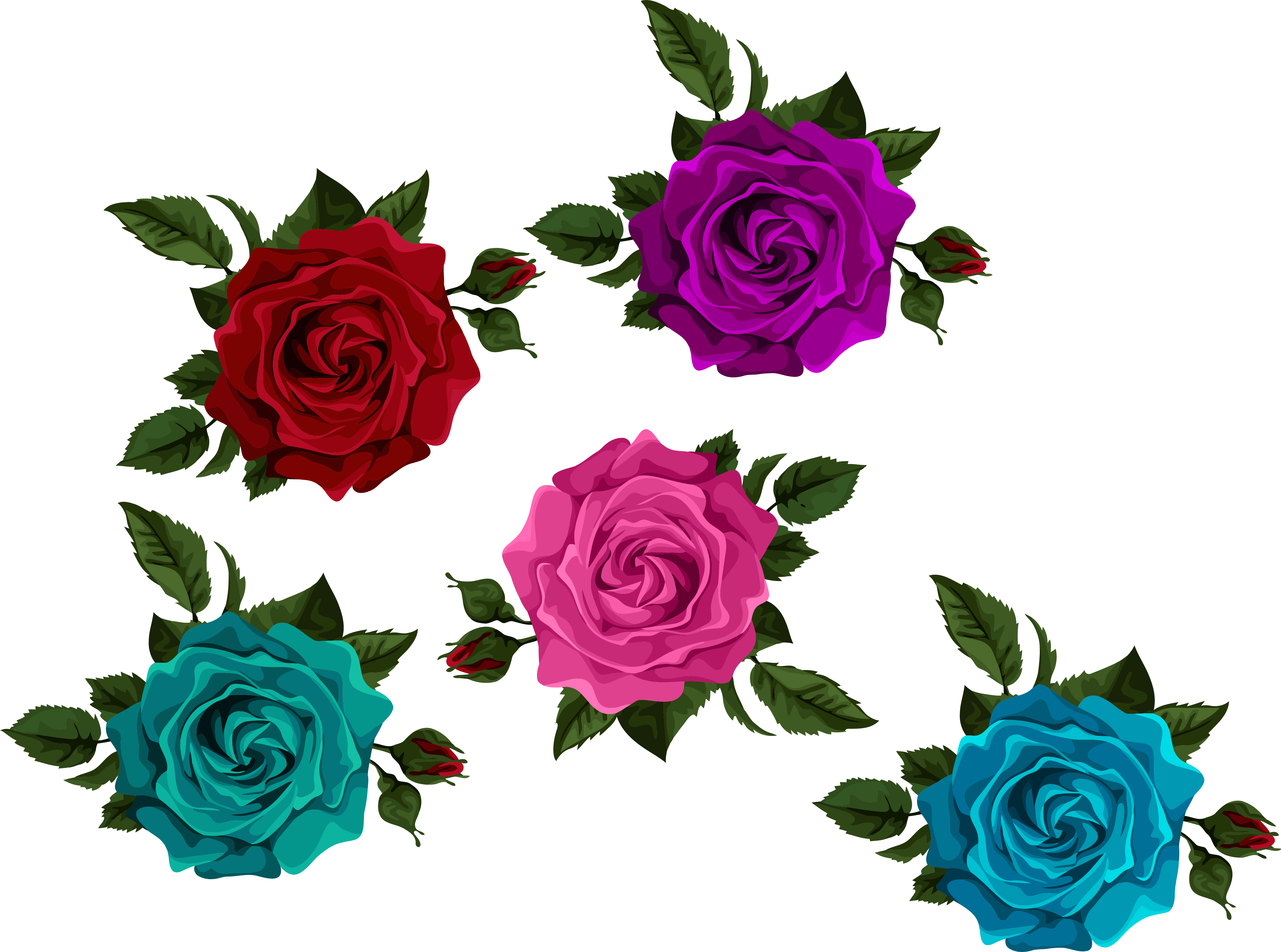Colorful Roses With Bud Transparent Picture Clip Art - Rose (4988x3709)