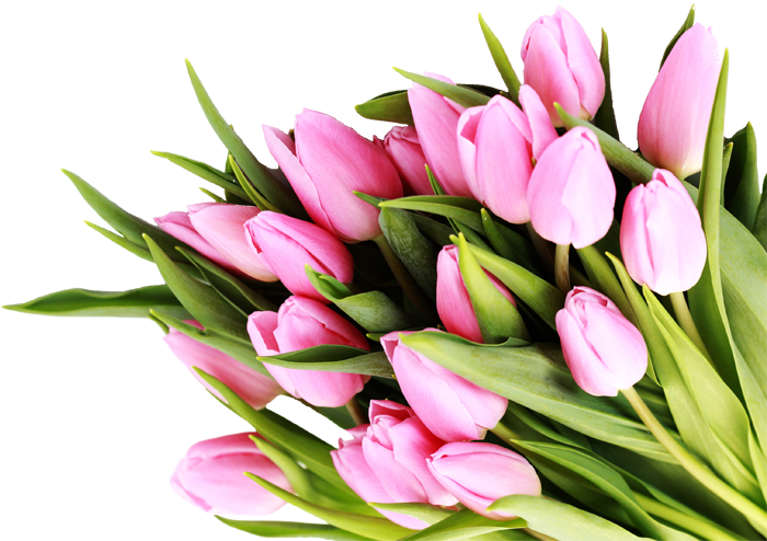 Image - Поздравление С Днем Всех Влюбленных (700x494)