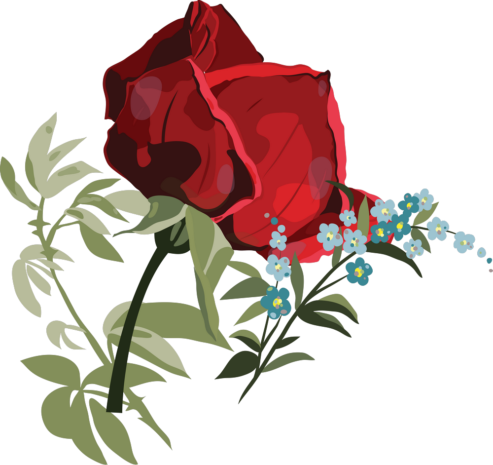 Garden Roses Flower Centifolia Roses Clip Art - Garden Roses Flower Centifolia Roses Clip Art (1000x942)