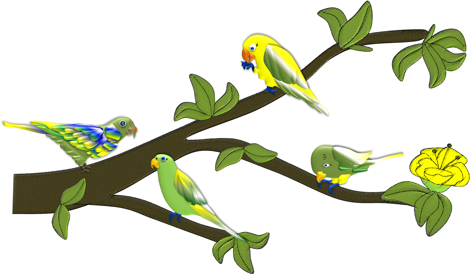 Periquito - Love Bird - Budgie (1720x1014)