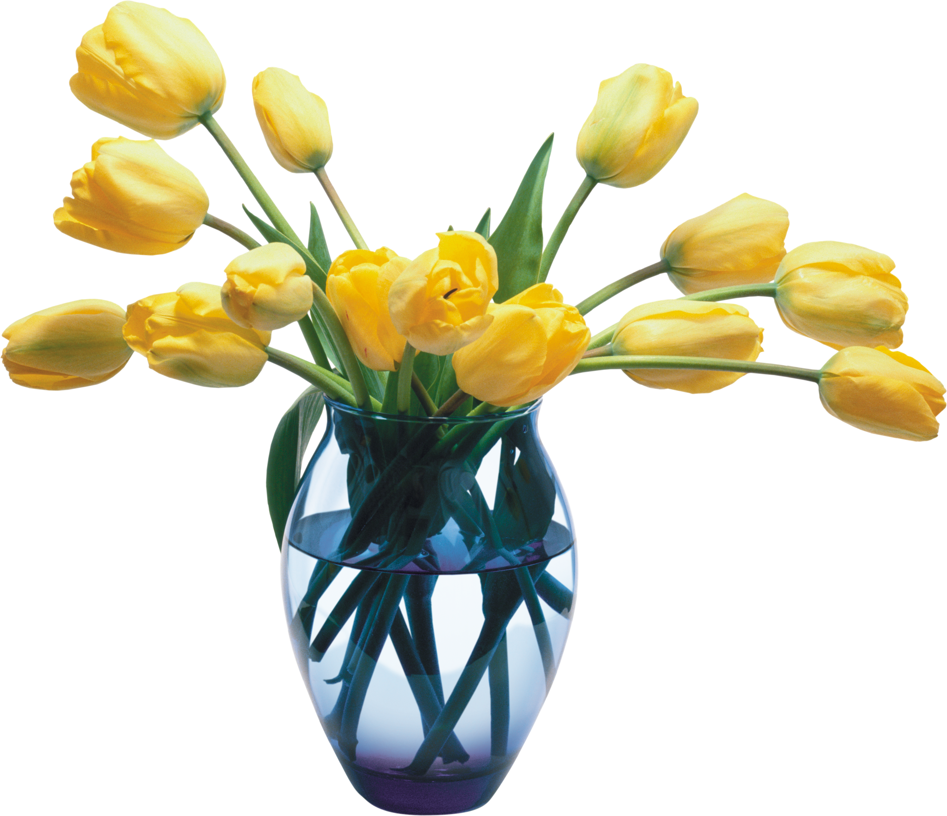 Vase Png - Happy Mother's Day Card (3973x3424)