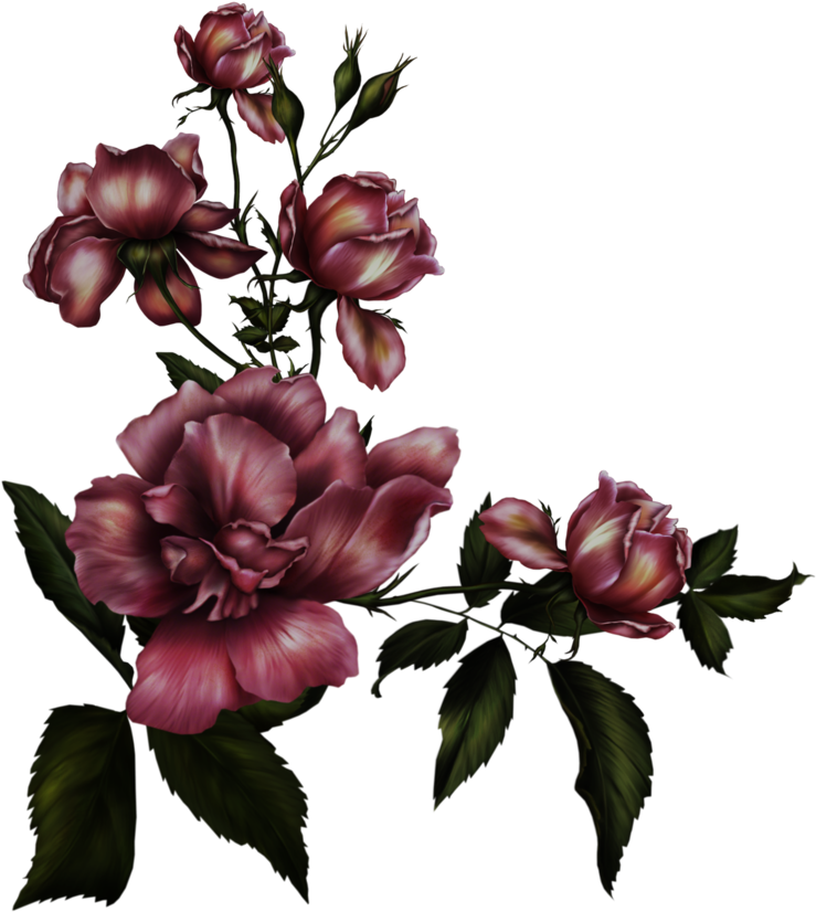 Gothic Rose Transparent Background - Gothic Flower (900x1055)