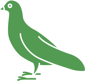 Control & Removal For Pigeons - San Diego Riverside (501x501)