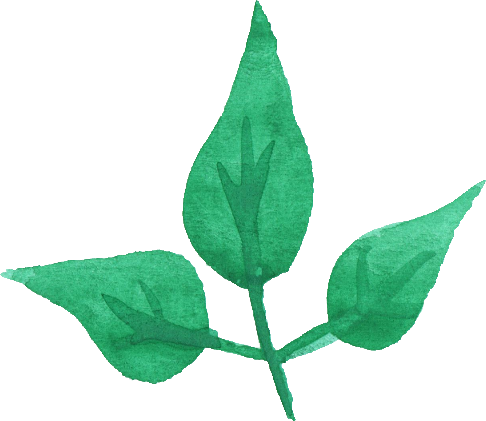 Free Download - Flowers Watercolor Green Transparent (486x421)