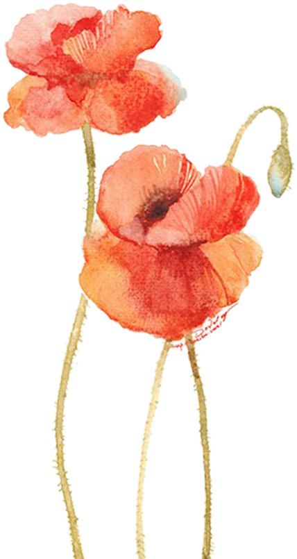 Flower Watercolor Painting Illustration - Flower Watercolor Painting Illustration (600x920)