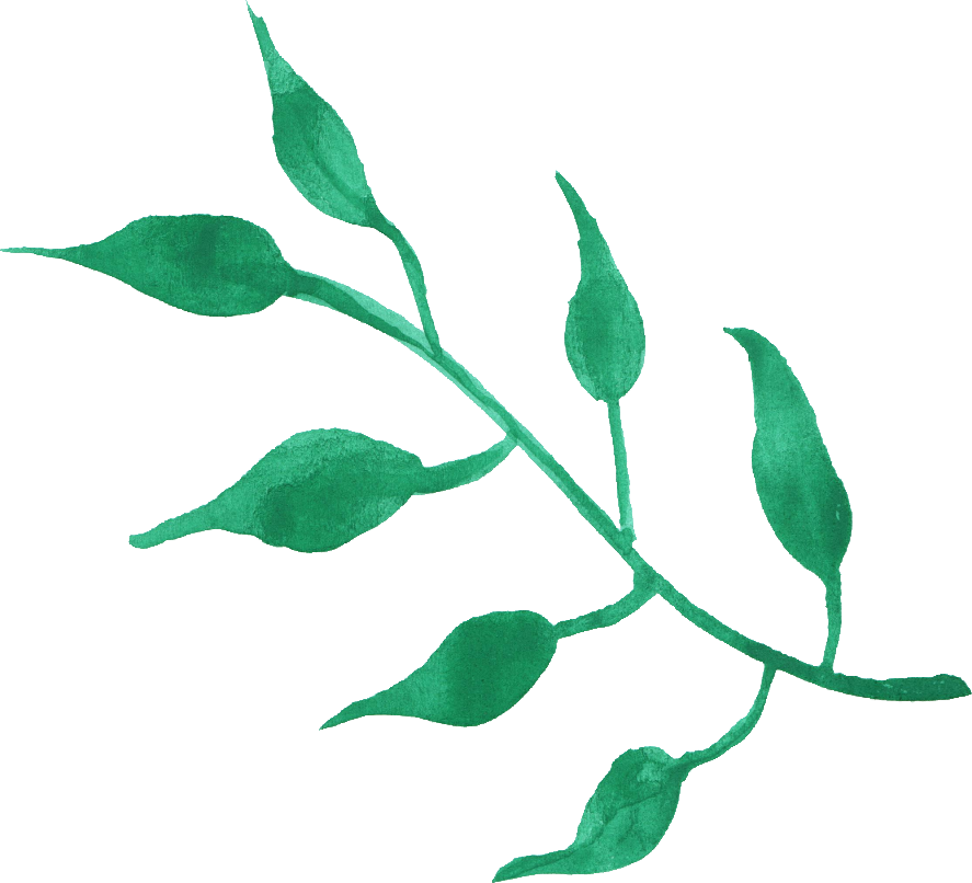 Free Download - Transparent Watercolor Leaves Png (887x806)