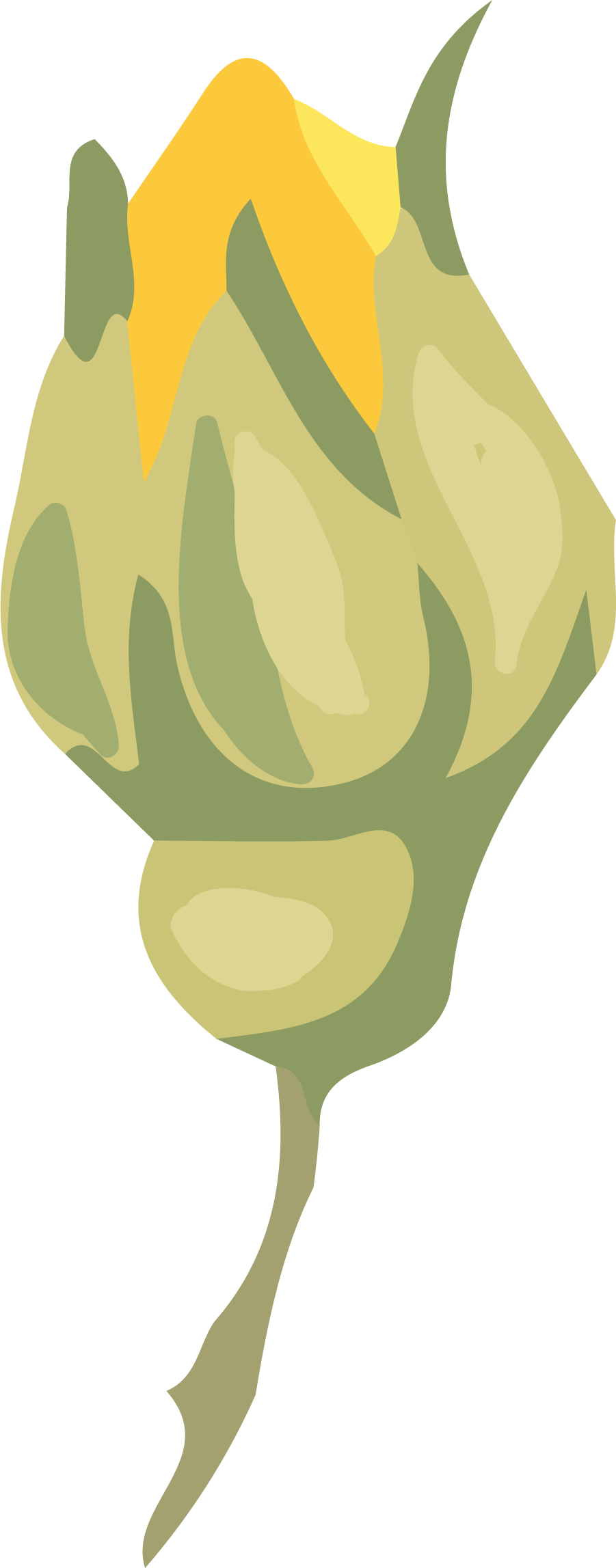 Flower Watercolor Painting - Flower Watercolor Painting (901x2295)