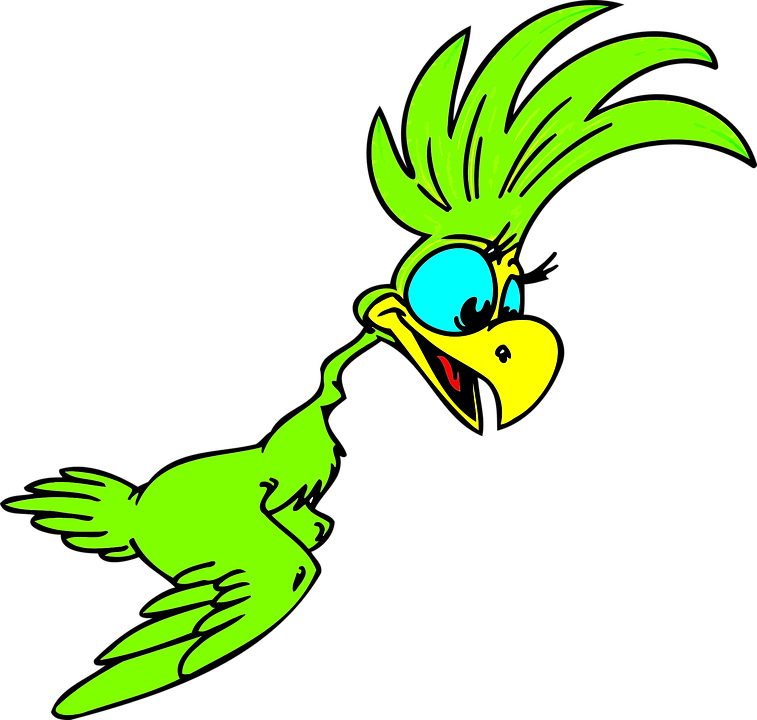 Bird Cartoon - Cartoon Parrot (757x720)